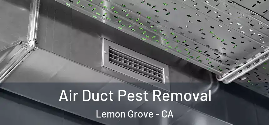 Air Duct Pest Removal Lemon Grove - CA