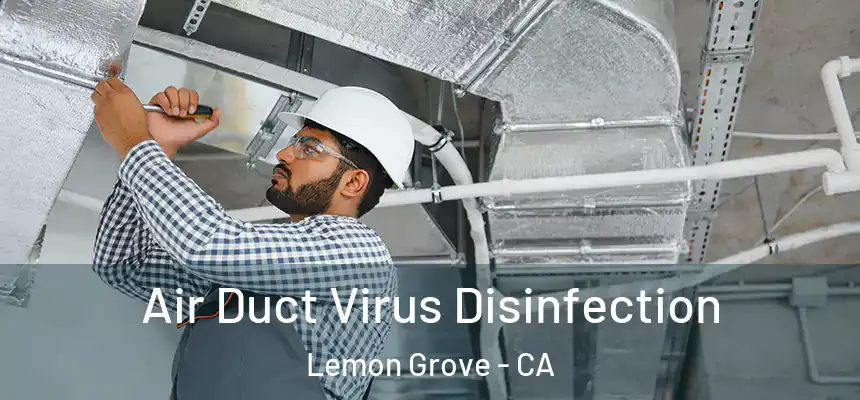 Air Duct Virus Disinfection Lemon Grove - CA