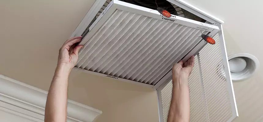 Preventive Cockroach-Proofing for Ducts in Lemon Grove
