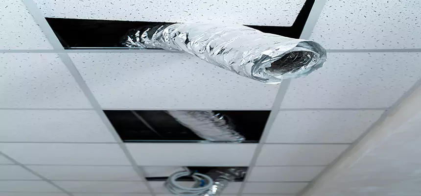 Our Air Duct Pet Hair Removal Services in Lemon Grove, CA