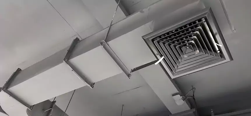 Restorative Allergy Relief Vent Cleaning – Coil, Blower & Housing Detail in Lemon Grove