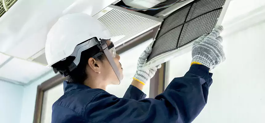 Our Mold & Mildew Removal from Air Ducts Services in Lemon Grove, CA