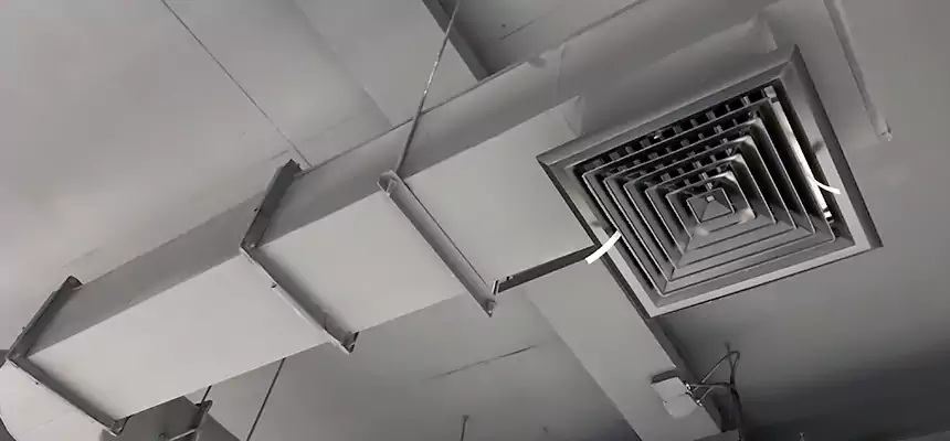 Our Pest Removal From Ducts Services in Lemon Grove, CA