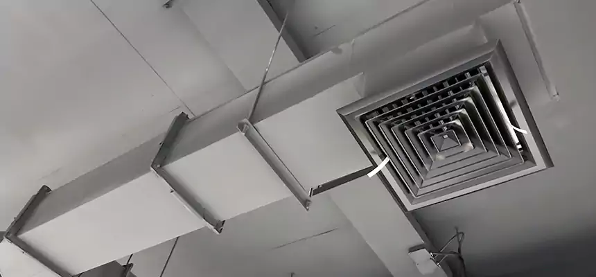 Our Rodent Droppings In Vents Services in Lemon Grove, CA