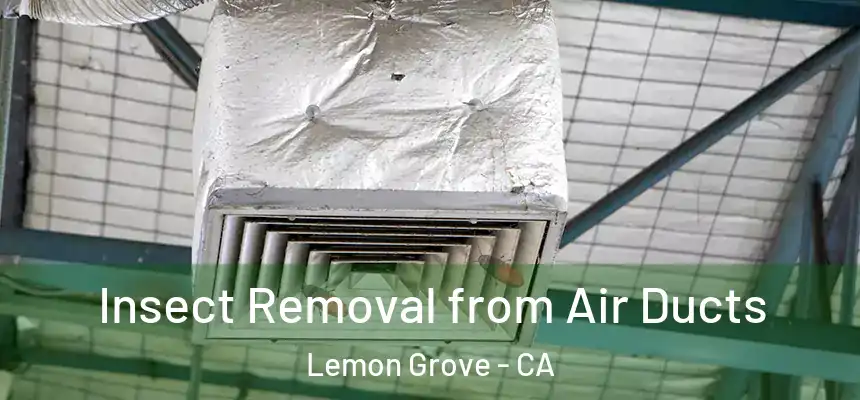  Insect Removal from Air Ducts Lemon Grove - CA