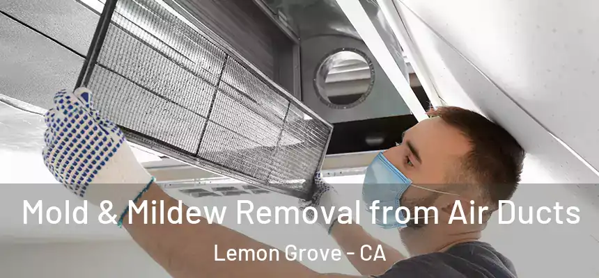  Mold & Mildew Removal from Air Ducts Lemon Grove - CA
