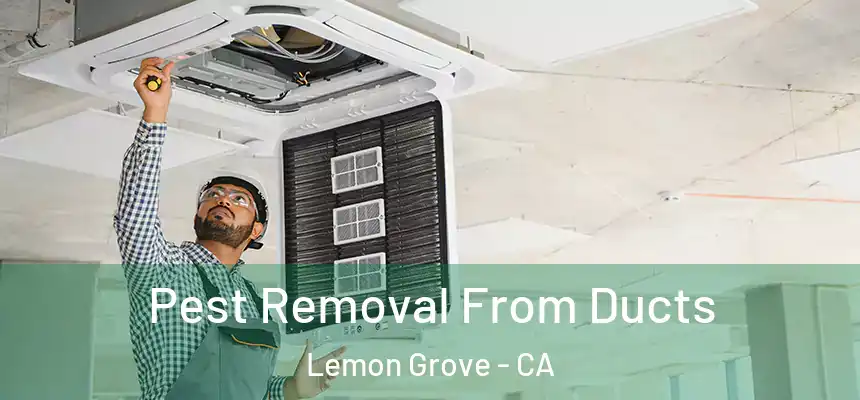  Pest Removal From Ducts Lemon Grove - CA