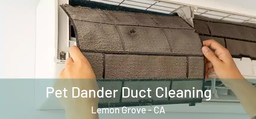 Pet Dander Duct Cleaning Lemon Grove - CA