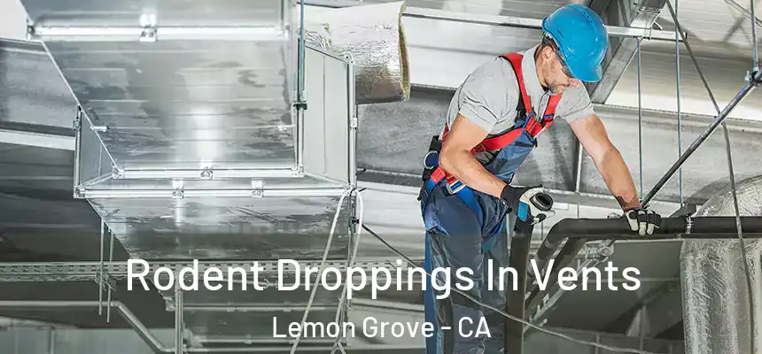  Rodent Droppings In Vents Lemon Grove - CA