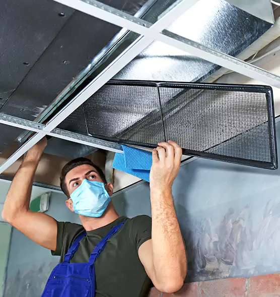 About Air Duct Bacteria Removal in Lemon Grove