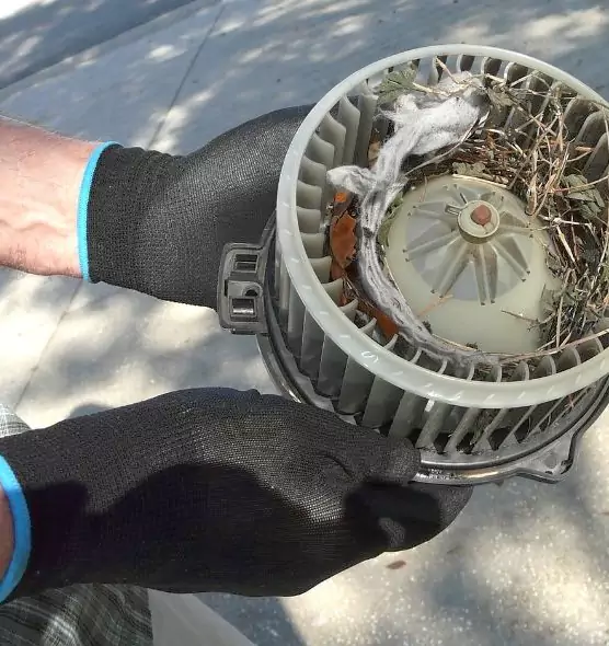 About Air Duct Mice Removal in Lemon Grove, CA