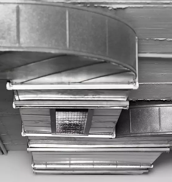 Professional Air Duct Pet Hair Removal in Lemon Grove, CA