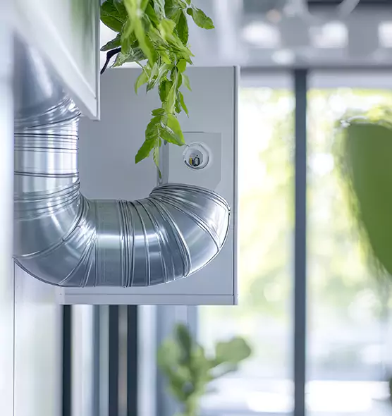 Professional Eco-Friendly Duct Cleaning Services in Lemon Grove, CA