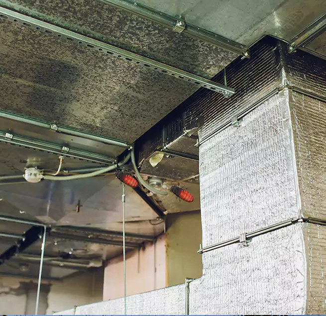 Why Homeowners & Businesses Trust Us in Lemon Grove, CA?