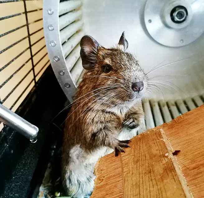 Why Homeowners & Businesses Trust Us Lemon Grove, CA?