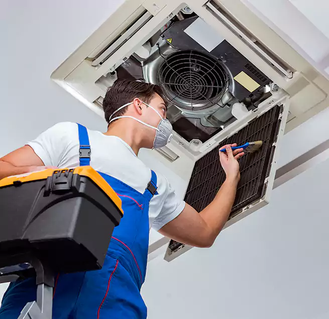 Why Homeowners & Businesses Trust Us in Lemon Grove, CA