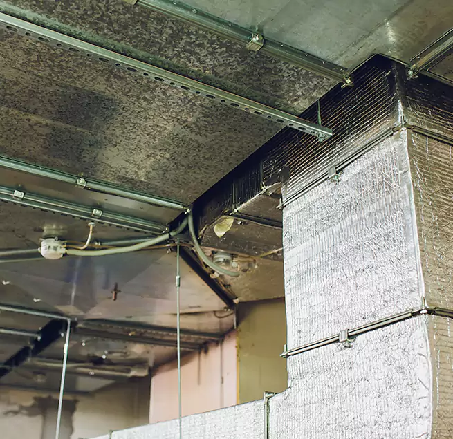 Why Homeowners & Businesses Trust Us in Lemon Grove, CA?