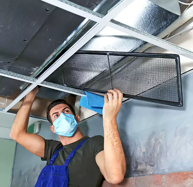 Why Homeowners Businesses Trust Us in Lemon Grove, CA